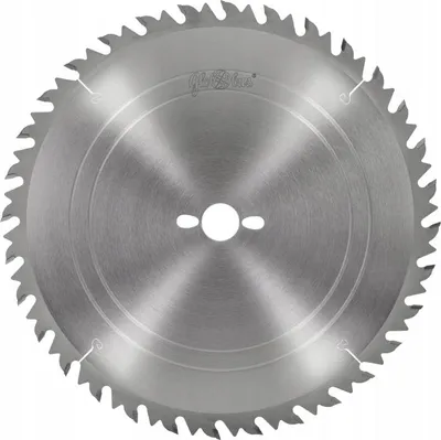 Image de Scie à bois Globus HM 300x30x28Z / coupe longitudinale