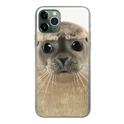 Produktbild von MuchoWow® Handyhülle Schutzhülle Hülle für iPhone 11 Pro Jungen - Robbe - Kinder - Mädchen - Tiere Silikon Softcase Handy Hülle - Handy