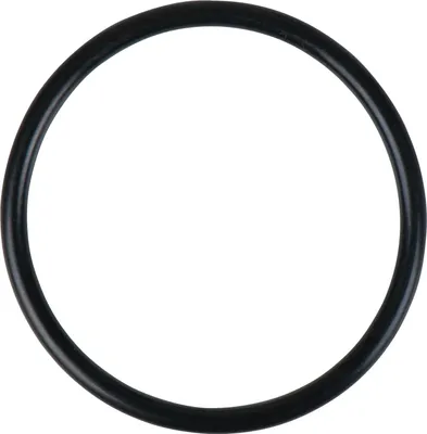 Produktbild von KS TOOLS O-Ring - 515.5410-R029P