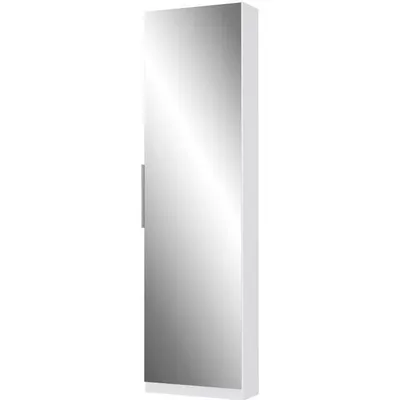 A tall, narrow cabinet with a mirrored door and a silver handle, shown against a white background.