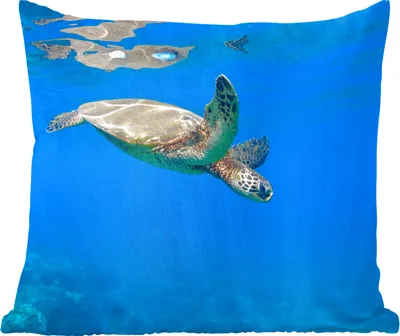 Produktbild von MuchoWow® Zierkissen Sofakissen Wohnzimmer Dekokissen 40x40 cm Schildkröte schwimmt im Meer - Foto Kissen - Schlafzimmer Dekoration