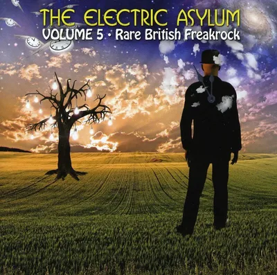 Produktbild von The Electric Asylum Vol.5