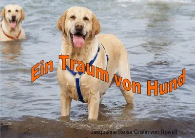 Produktbild von Ein Traum von Hund