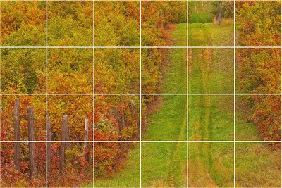 Produktbild von Fliesenaufkleber 20x20 cm – 24 Stück – Selbstklebend – Wasserfest – Pflegeleicht – Hitzebeständig – Für Küche & Bad – Herbstpfad in der Natur