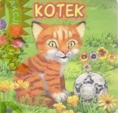 Productafbeelding van Kotek JAFI - Katarzyna Campbell
