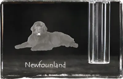 Produktbild von Neufundländer, Newfoundland - Stifthalter, Kristallorganizer mit Hundefoto, einzigartige Schreibtischdekoration der Marke Art-Dog