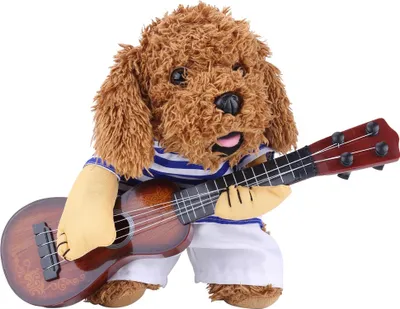 Obrázok produktu pre Zábavné oblečenie pre psov a mačky, šaty pre gitaristu, šteňa, Halloween, Vianoce, párty, kostým, M