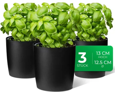 Produktbild von Novaliv Stilvolle 3er Set Kräutertopf aus Kunststoff Schwarz für jede Fensterbank, frische Küchenkräuter, Kräutergarten für die küche, Kräuterbeet indoor, Zimmerpflanzen, Pflanzentopf, Pflanzschale
