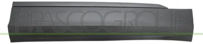 Produktbild von PRASCO Zierleiste für die Tür Vorne Rechts Leiste VG8101403