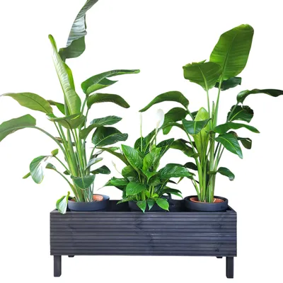 Obrázek produktu pro Obdélníkový zahradní květináč ze dřeva s reliéfním povrchem, ideální pro květiny, černý, 115 x 40 x 40