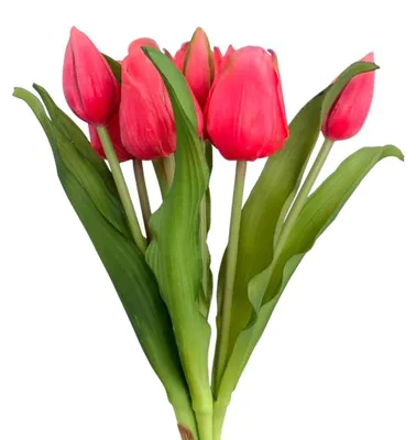 Produktbild von Künstlicher Tulpen-Bund 32cm "Soft-Touch" Kunstblume Tulpe Beauty