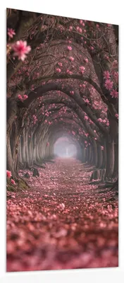 Produktbild von Glasbild 30x60cm in XXL für Wohnzimmer, Schlafzimmer Motiv Blütenweg