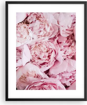 Produktbild von Gerahmtes Poster - Schwarzer Rahmen - Blumenstrauß Blumen Rosa - 40x50 cm - Wand Bild - Wanddeko - Wandbilder - Kunstposter - Wandposter - Bilderrahmen - Bilder - Kunstdruck - P2BPA40x50-5001