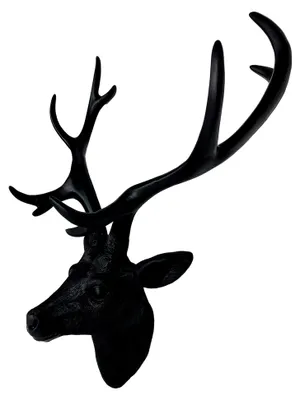Produktbild von XXL Hirschgeweih Hirschkopf 10-Ender Schwarz 48x32x61cm Figur Skulptur für die Wohndekoration