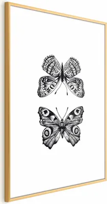 Produktbild von Posterpapier Poster - Two Butterflies 60x90 cm Tiere g-B-0115-ao-a
