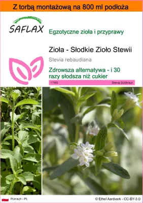 Zdjęcie produktu dla SAFLAX - Garden in the bag - Zioła - Słodkie Zioło Stewii - 100 Nasiona - Z podłożem uprawowym w praktycznej, samorozkładającej się torbie - Stevia rebaudiana