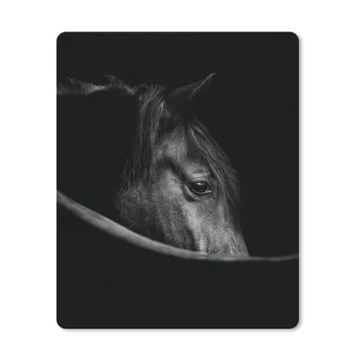 Produktbild von MuchoWow® Mauspad Mousepad Pferde - Porträt - Schwarz - Tiere 30x40 cm - Mousepads - Maus Mat - Pad - Mausunterlage - Mausmatten