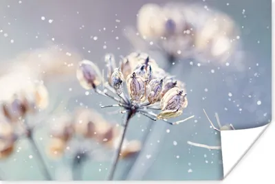 Produktbild von MuchoWow® Poster Winter Natur 180x120 cm - Fotoplakat