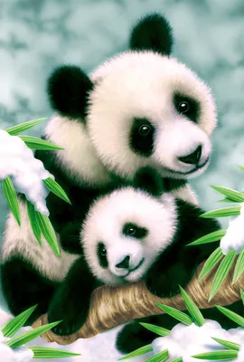 Produktbild von Pandas 20 Teile