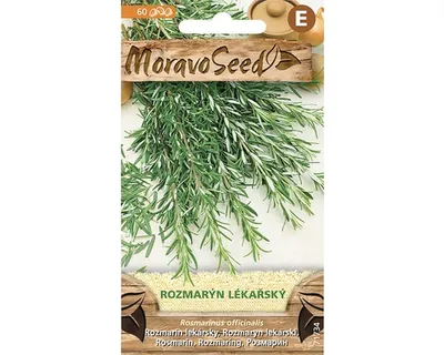 Produktbild von Rosmarin Samen, mehrjährig, stark aromatisch, immergrünes Kraut für Küche & Heilkunde