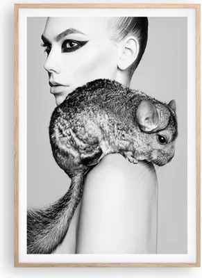 Produktbild von Gerahmtes Poster - Rahmen in heller Eiche - Chinchilla Frau Porträt - 70x100 cm - Wand Bild - Wanddeko - Wandbilder - Wandposter - Bilderrahmen - Bilder - Kunstdruck - Wandbild - P2NPA70x100-4278