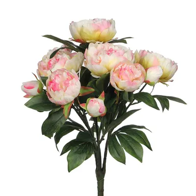 Produktbild von Mica Decorations Pfingstrosen Kunstblumenbukett - H55 x Ø40 cm - Hellrosé