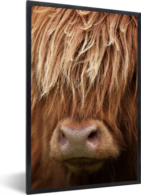 Produktbild von MuchoWow® Gerahmtes Poster Schottischer Highlander - Nase - Haare 20x30 cm - Poster mit Schwarzem Bilderrahmen Wandposter Rahmen Foto Bilder - Drucken - Bilder Poster im Rahmen