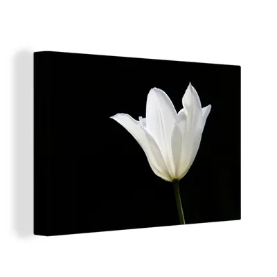 Produktbild von OneMillionCanvasses® - Leinwandbilder - 150x100 cm, Weiße Tulpe, Wandbilder Kunstdruck Wanddekoration