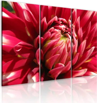 Produktbild von Modernes Wandbild 030210- 61 (120x80) - 3 Teilig Bilder Fotografie auf Vlies Leinwand Foto Bild Dekoration Wand Bilder Kunstdruck Blumen