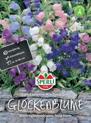 Produktbild von SPERLI Glockenblumensamen Campana 100 Pflanzen