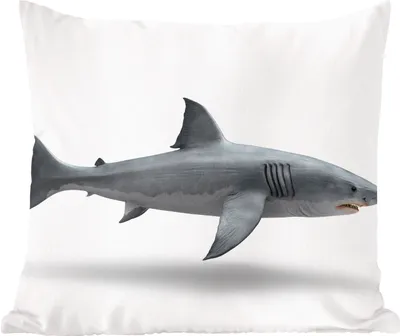 Produktbild von MuchoWow® Zierkissen Sofakissen Wohnzimmer Dekokissen 50x50 cm Hai - Meerestiere - Weiß - Komfort - Sofakissen