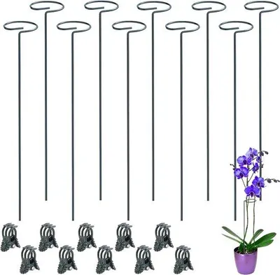 Productafbeelding van Famanu plantensteunen met ringen - 30 cm groene plantensteunen - 20 plantclips