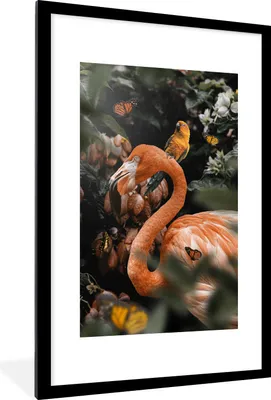 Produktbild von MuchoWow® MuchoWow® Gerahmtes Poster Flamingo - Papagei - Dschungel - Schmetterling 60x90 cm - Poster mit zchwarzem Bilderrahmen - Dekoration - Wandposter Wohnzimmer - Hochwertig