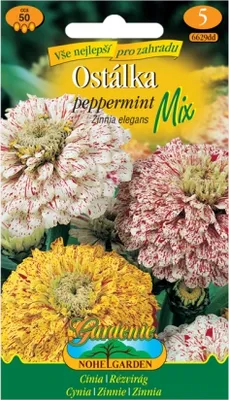 Obrázek produktu pro Ostálka lepá peppermint, směs
