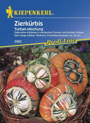 Produktbild von Zierkürbis Turbanmischung | Zierkürbissamen von Kiepenkerl