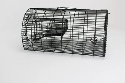 Produktbild von Campo24 Rattenfalle Kastenfalle Lebendfalle Drahtkasten–40x24x21cm, Schutzgriff, Trittklappe – optimal für Marder, Feldmäuse, Siebenschläfer, Waschbär