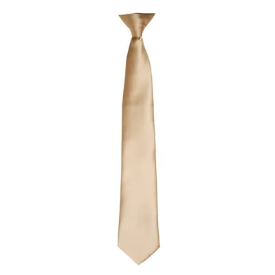 Immagine prodotto di Cravatta in raso con clip da uomo Premier RW4407 (taglia unica) (Khaki)
