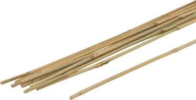 Image de Tuteurs pour plantes en bambou Meister 75 cm (10 pièces) - wu9966390