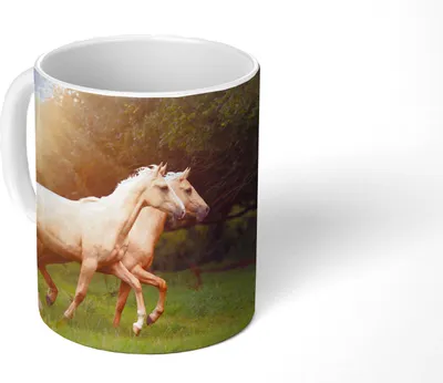 Produktbild von MuchoWow® Tasse Kaffeetasse Kaffeebecher 350 ml Pferde - Wald - Sonne Teetasse - Fototasse - Becher - Keramikbecher - Teebecher - Kaffeetasse - Bürotasse