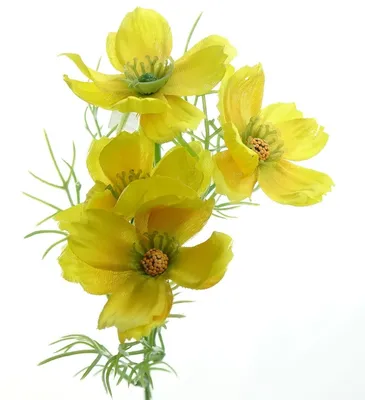 Produktbild von DPI Kosmeen - Cosmea Stiel Gelb mit vier Blüten 39 cm - Kunstblumen