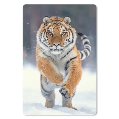 Produktbild von MuchoWow® Mauspad Mousepad Tiger - Landschaft - Schnee - Tiere 40x60 cm - Mousepads - Maus Mat - Pad - Mausunterlage - Schreibtisch Accesoire
