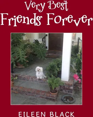 Produktbild von Very Best Friends Forever