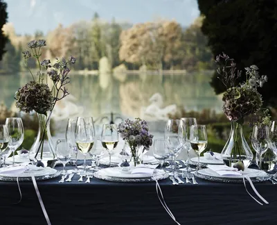 Immagine prodotto di Bicchiere da champagne Riedel per sommelier, collezione "Jahrgang", set da 2 pezzi