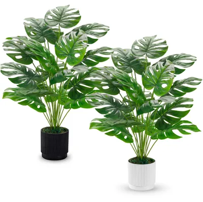 Produktbild von Set von 2 Künstlichen Monstera Pflanzen für Innen und Außen