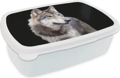 Produktbild von KitchenYeah® Lunchbox Brotzeit Brotdose 17x11 cm Grauer Wildwolf Kinder Brotzeitdose - Lunch Box - Kinder - Sandwich-Box - Schulbox - Lunch Boxen
