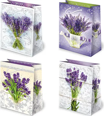 Image de PAW S.C. - Sachets cadeaux 16 x 24 cm, lot de 10 - Lavande