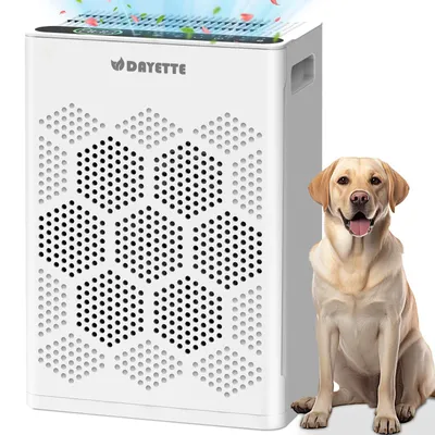Produktbild von Luftreiniger Allergiker H14 HEPA Filter gegen Staub Pollen und Tierhaare