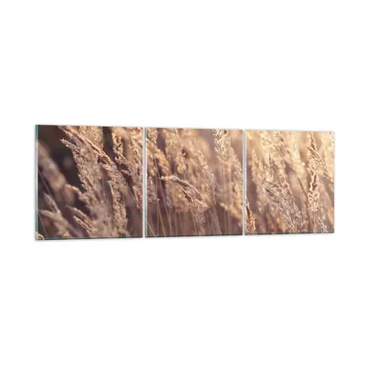 Produktbild von Bilder auf glas - 3 Teile - Boho Ähren Feld - 150x50cm - Glasbilder - Wandbilder - Bilder - zum Aufhängen bereit - Wanddekoration aus Glas - Glas Bilder - Wandbild auf Glas - GCA150x50-4838