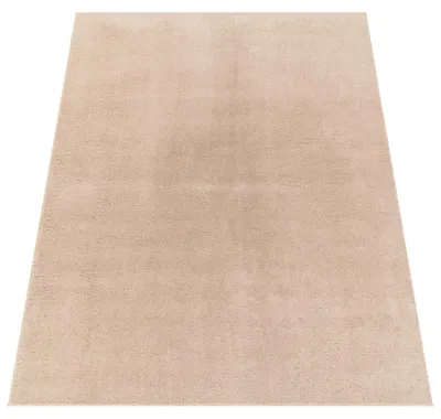 Produktbild von Moderner Wohnzimmer Teppich Kurzflor Waschbar Weich Felloptik Anti-Rutsch Grösse 160x220 cm