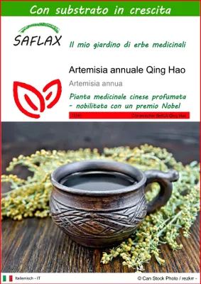 Immagine prodotto di SAFLAX  - Artemisia annuale Qing Hao - 250 semi - Con substrato - Artemisia
